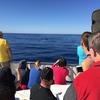 Cabo-2016-01-15-102340