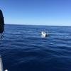 Cabo-2016-01-15-102458