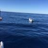 Cabo-2016-01-15-102500
