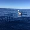 Cabo-2016-01-15-102503