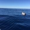 Cabo-2016-01-15-102506