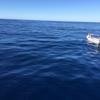 Cabo-2016-01-15-102512