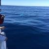 Cabo-2016-01-15-102801