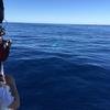 Cabo-2016-01-15-102803