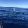 Cabo-2016-01-15-102807