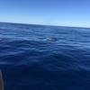 Cabo-2016-01-15-102809