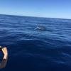 Cabo-2016-01-15-102810