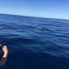Cabo-2016-01-15-102811