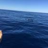Cabo-2016-01-15-102812