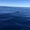 Cabo-2016-01-15-102813
