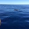 Cabo-2016-01-15-102815