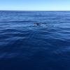 Cabo-2016-01-15-102816