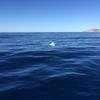 Cabo-2016-01-15-103047