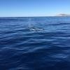 Cabo-2016-01-15-103050-1