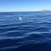 Cabo-2016-01-15-103050