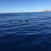 Cabo-2016-01-15-103051