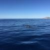 Cabo-2016-01-15-103052