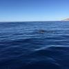 Cabo-2016-01-15-103053