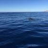 Cabo-2016-01-15-103054