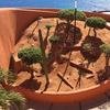 Cabo-2016-01-15-121742