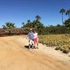 Cabo-2016-01-16-110637