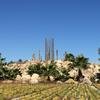 Cabo-2016-01-16-110959