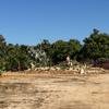 Cabo-2016-01-16-111106