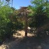 Cabo-2016-01-16-111828