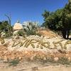 Cabo-2016-01-16-112002