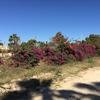 Cabo-2016-01-16-112024