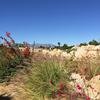 Cabo-2016-01-16-112555