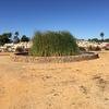Cabo-2016-01-16-112657