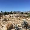 Cabo-2016-01-16-112828