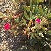 Cabo-2016-01-16-112951