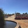 Cabo-2016-01-16-113040