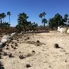 Cabo-2016-01-16-113105