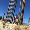 Cabo-2016-01-16-113715-3