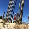 Cabo-2016-01-16-113715-7