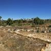 Cabo-2016-01-16-113945