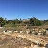 Cabo-2016-01-16-114013