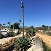 Cabo-2016-01-16-114200
