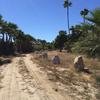 Cabo-2016-01-16-114707