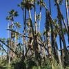 Cabo-2016-01-16-115829
