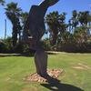 Cabo-2016-01-16-120044