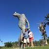 Cabo-2016-01-16-120306-5