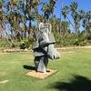 Cabo-2016-01-16-121524