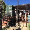 Cabo-2016-01-16-131943