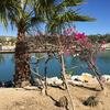 Cabo-2016-01-16-132350
