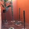 Cabo-2016-01-16-155743