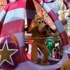 Disney-2018-02-20-152125